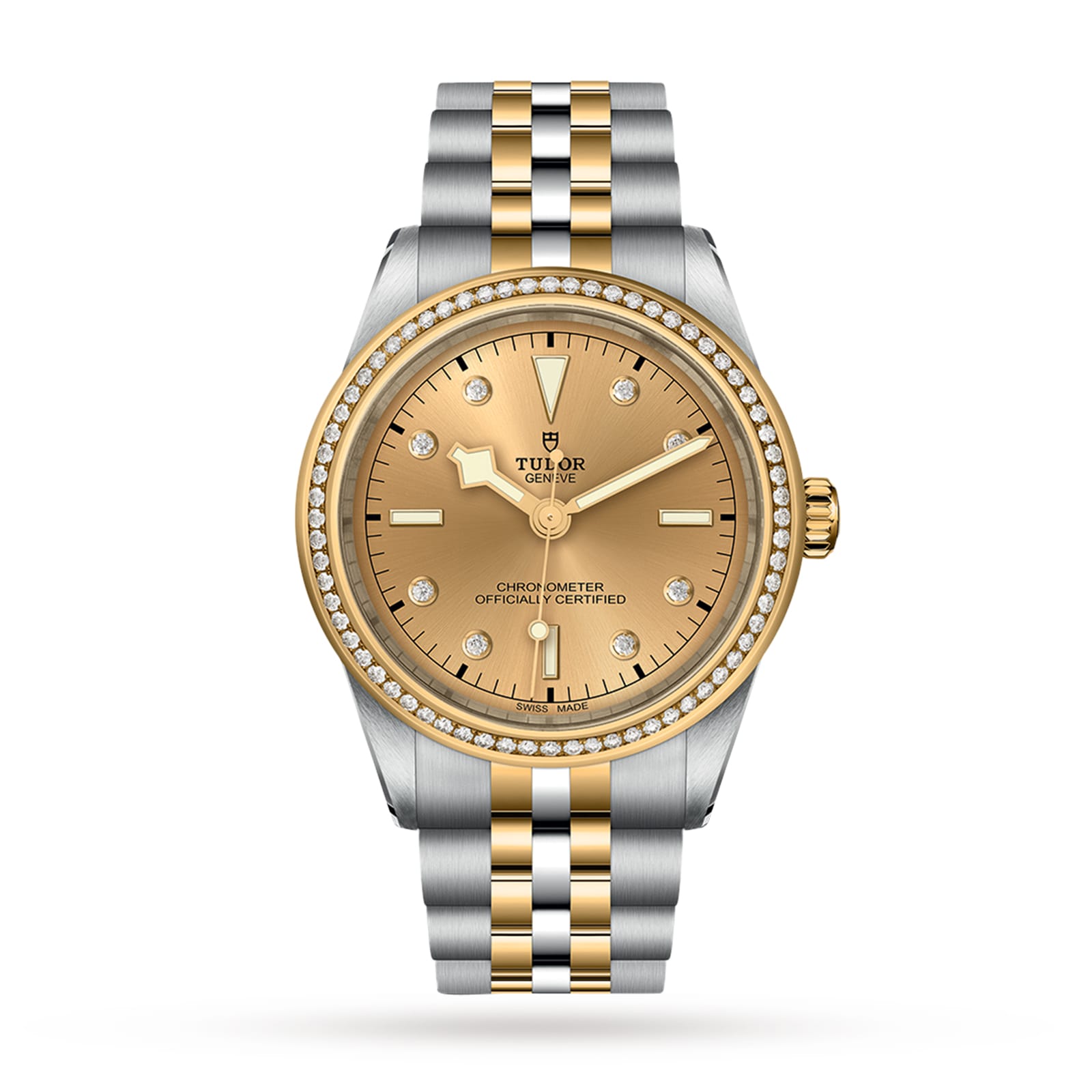 Tudor Black Bay 39 S&G